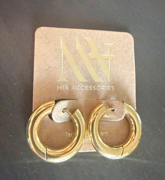 Chunky Gold Hoops